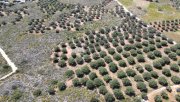 Chorafakia Kreta, Chorafakia: Schönes Grundstück mit Meerblick und Bergblick zu verkaufen Grundstück kaufen